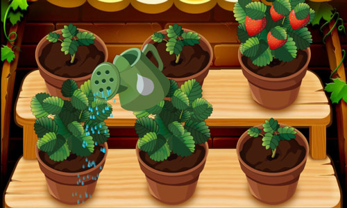 慧安星APP更新版本